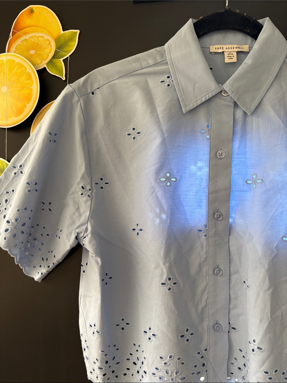 Free Assembly Light Blue Eyelet Short-Sleeve Shirt NWT